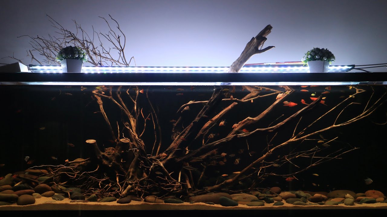 6 FEET | LARGE AQUARIUM BUILD FOR OUR CLIENT | CHENNAI AQUARIUM FISH TANK
