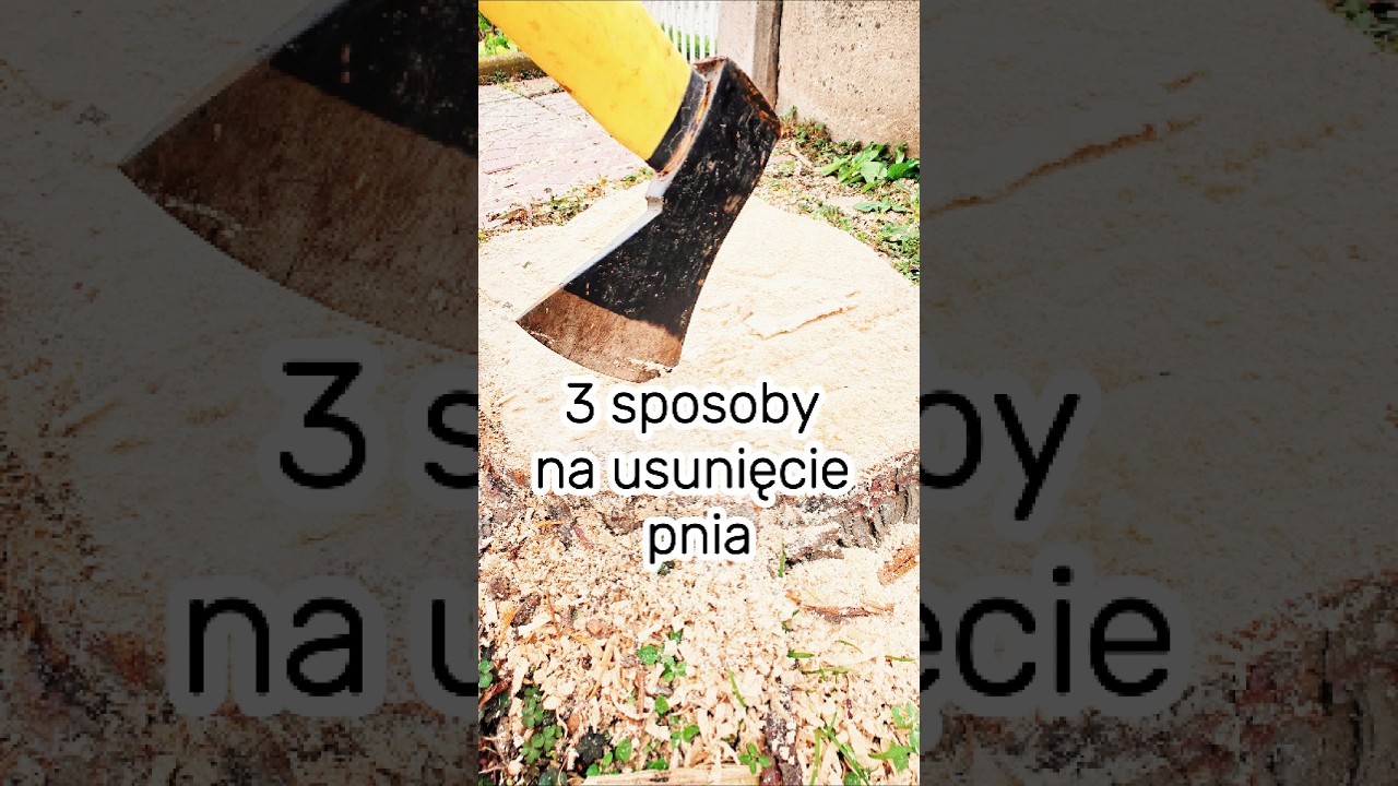 Jak Usunąć Pień? 🌳 Trzy Skuteczne Metody!