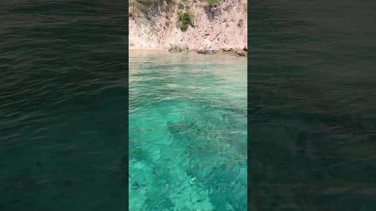 Costa Brava, Spain! Fish, crystal clear waters and cliffs 😍😍
