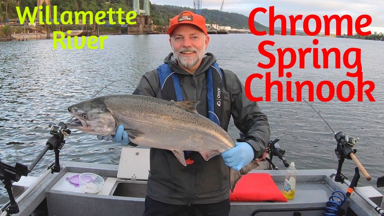 Willamette River Spring Chinook Salmon Fishing.