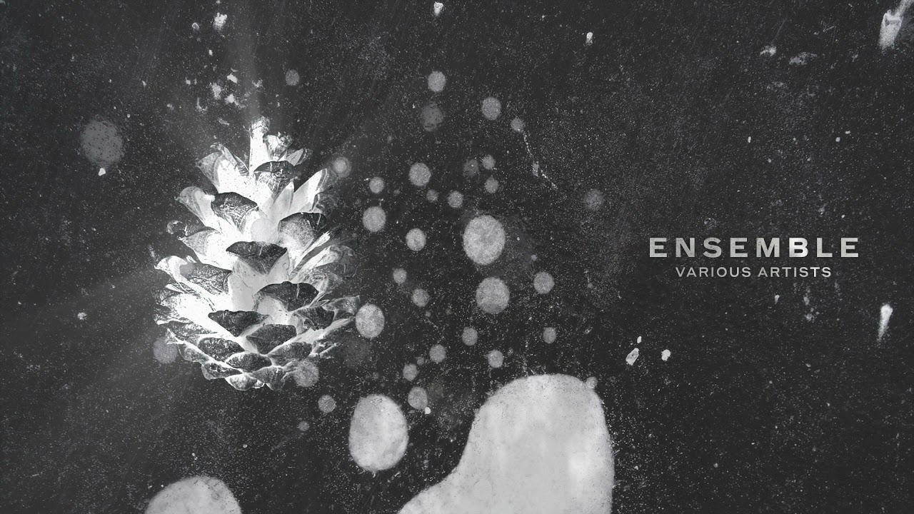 Chris Ojeda - Andini | Ensemble [Saisons Musique]