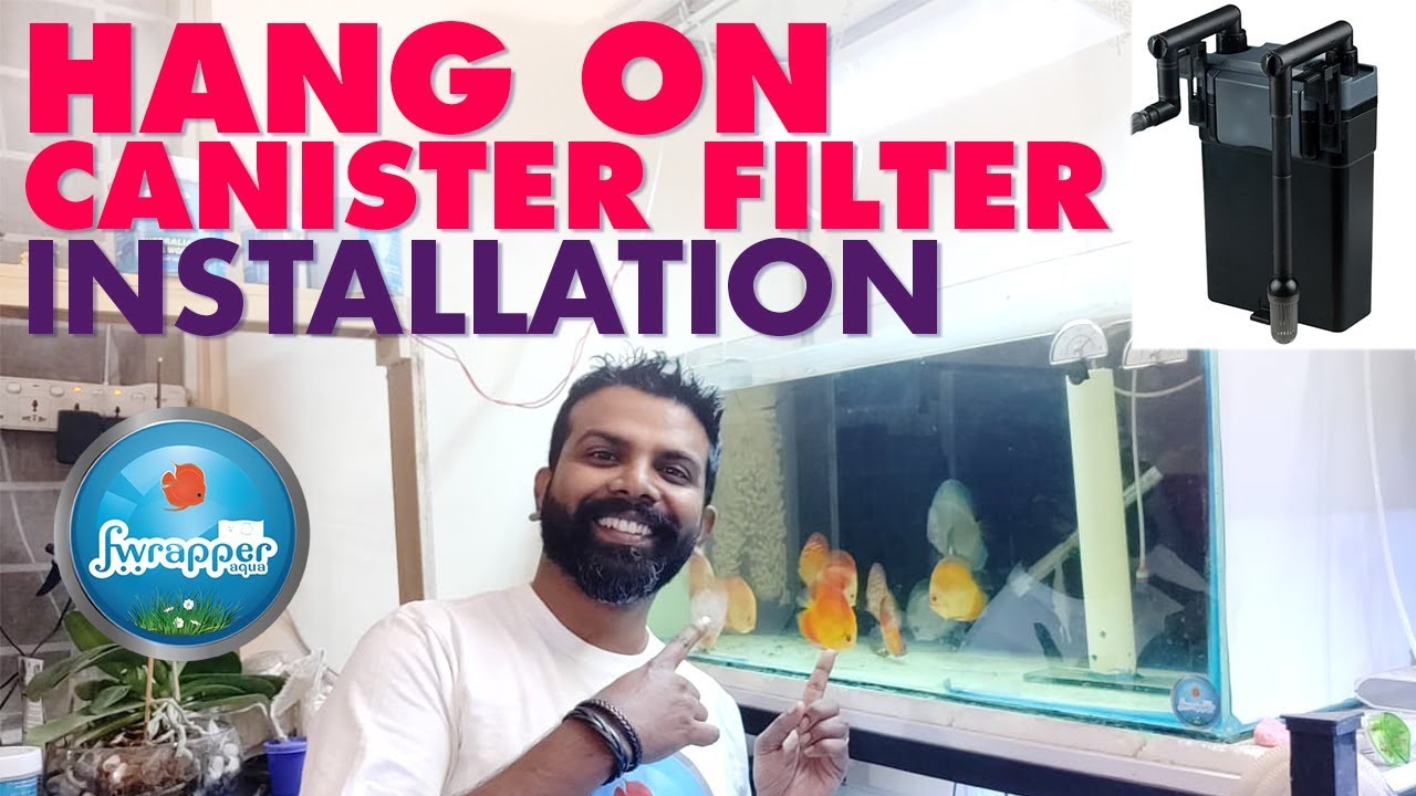 Hang On Back Canister Filter Installation || HOB Filter || Discus Fish Tank Filter