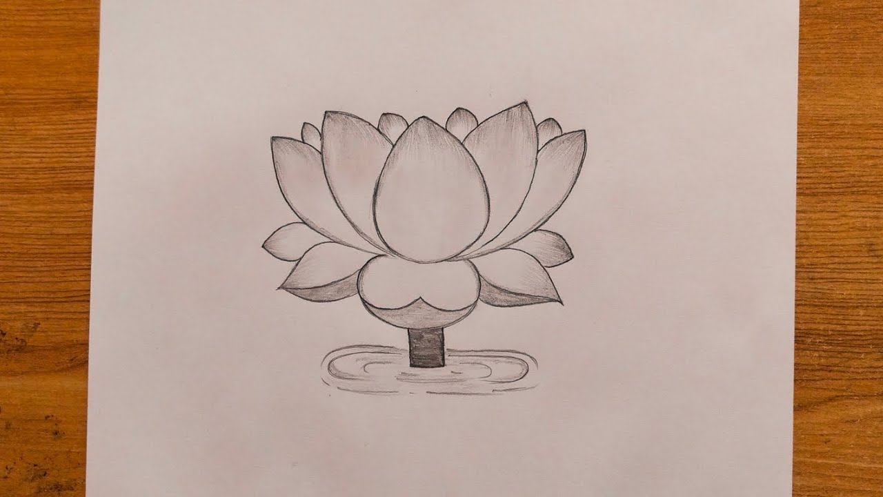 Learn how to draw a lotus flower drawing easy step by step 