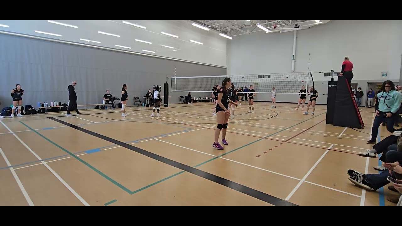 Pumas Hybride vs Kingston Rock Emerald 