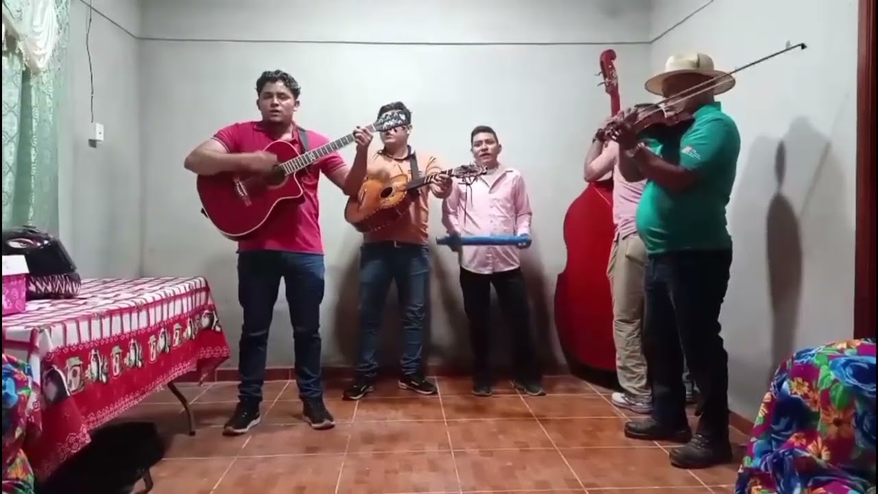Noches de complacencia los carnales del sur