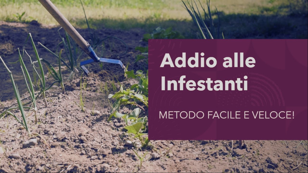 INFESTANTI? QUESTI DUE ATTREZZI SONO LA SOLUZIONE