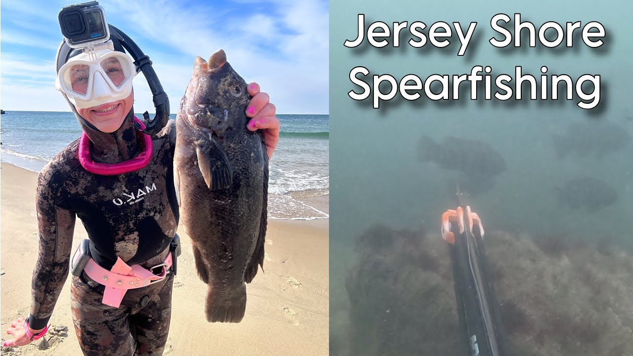 Jersey Shore Spearfishing - NJ cold water, tog, whales, & sea stars