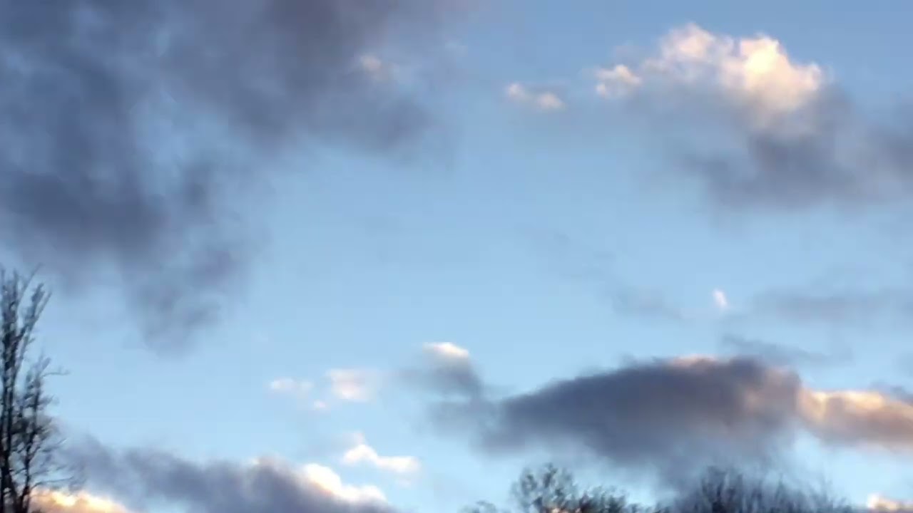 ЛОШАДКИ ПОНИ!!!!🐴🦄 Чему нас учит природа????❓❓❓