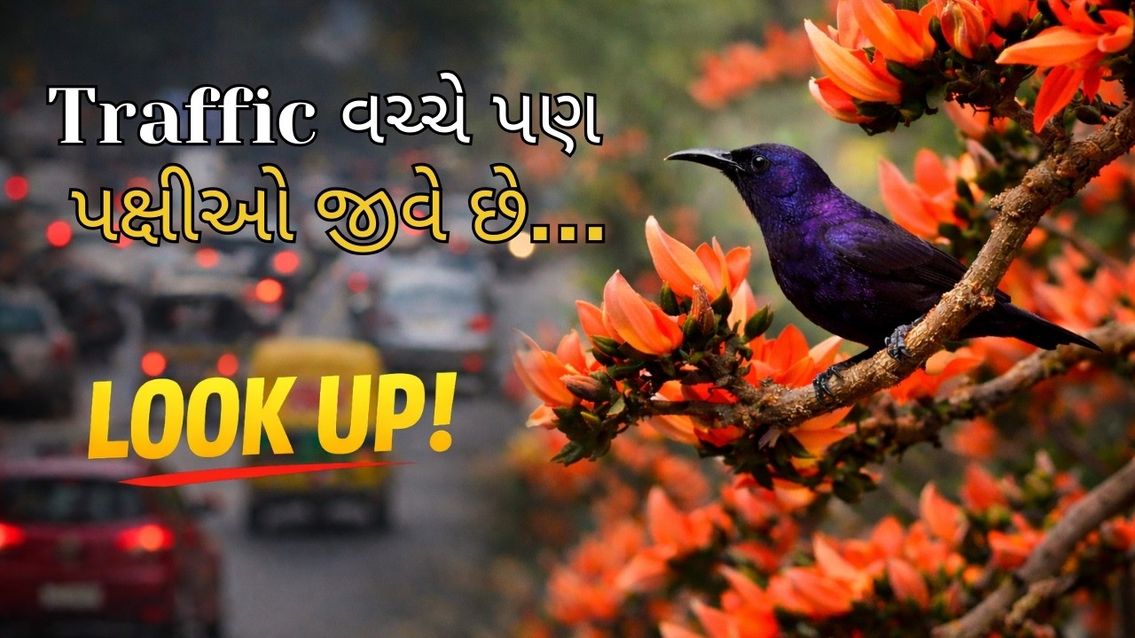 Ahmedabadની વ્યસ્ત રોડ પર કેસુડો 🌳 | City Traffic વચ્ચે પક્ષીઓ 🐦 | Urban Nature
