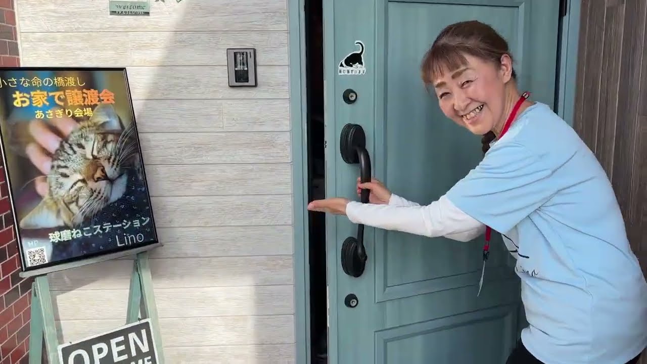 「お家で譲渡会」あさぎり会場
