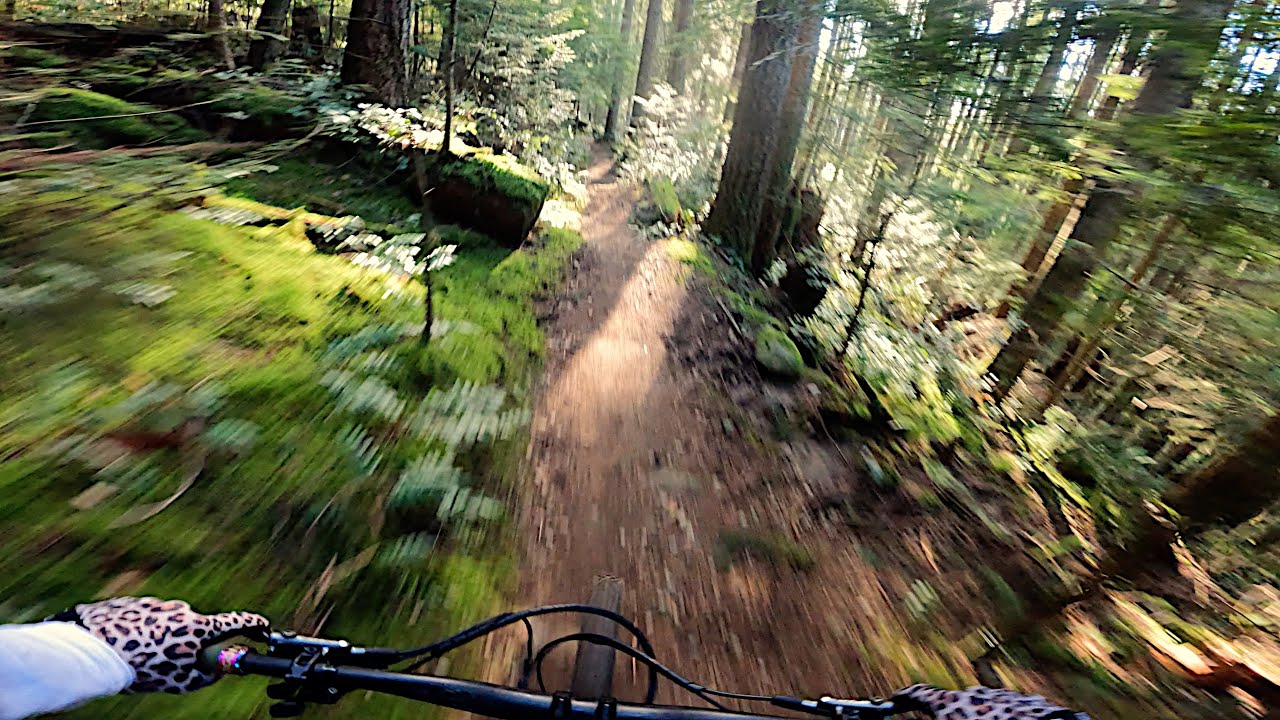 Mountain Bike Trail POV #107 Asian Adonis, Mt Seymour. (4K)