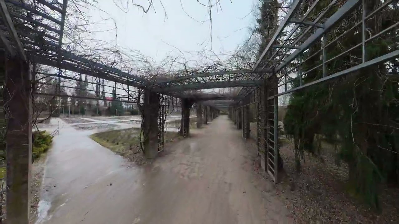 Ogród Różany Zimą video