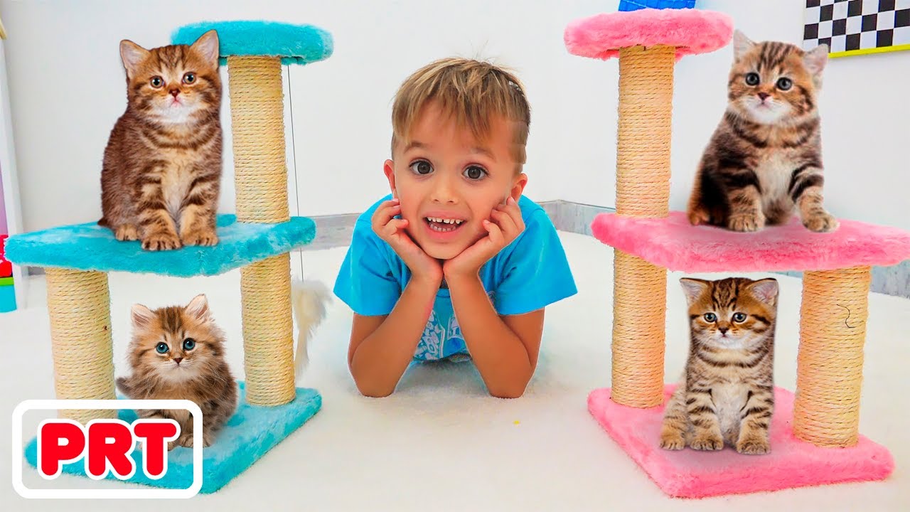 Vlad e Niki brincam com animais de estimação | Vídeos engraçados para crianças