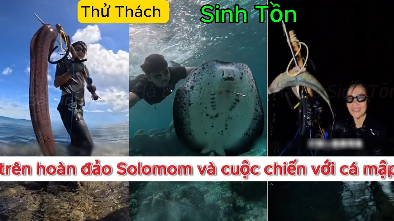 FULL| Thử thách sinh tồn trên đảo hoang Solomon và cuộc chiến thức ăn với cá mập| Hà Bá Sinh Tồn 