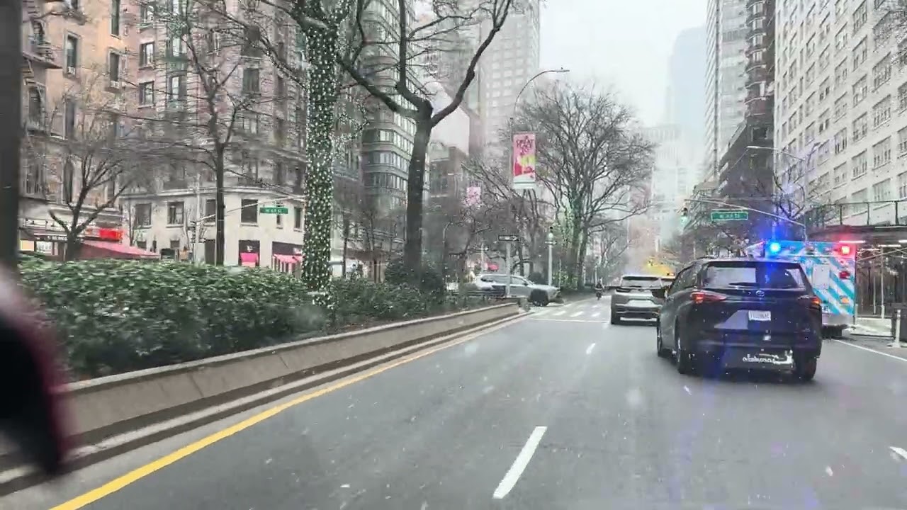 cuándo la nieve nos visita ￼