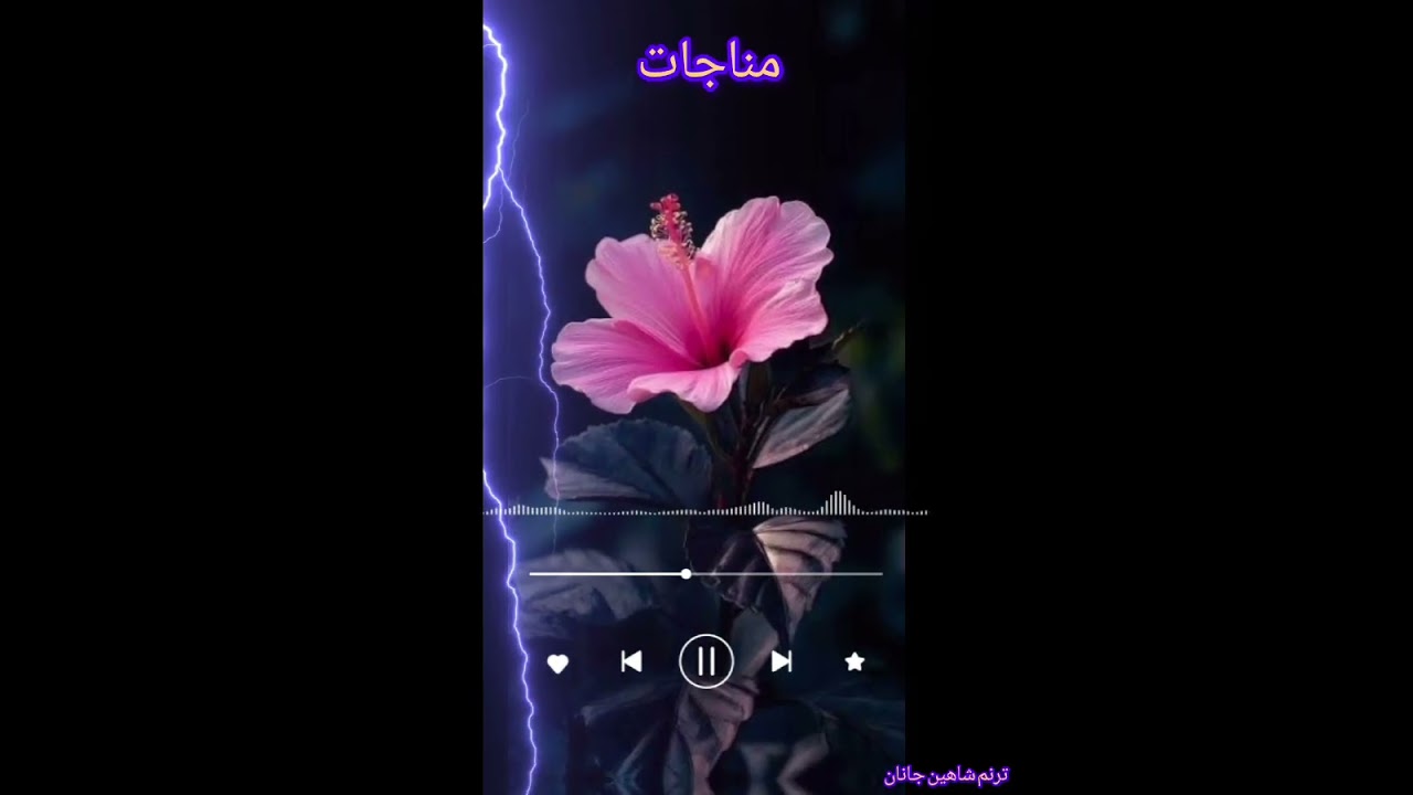 ولار ستا درته ماقبلوی او کنه