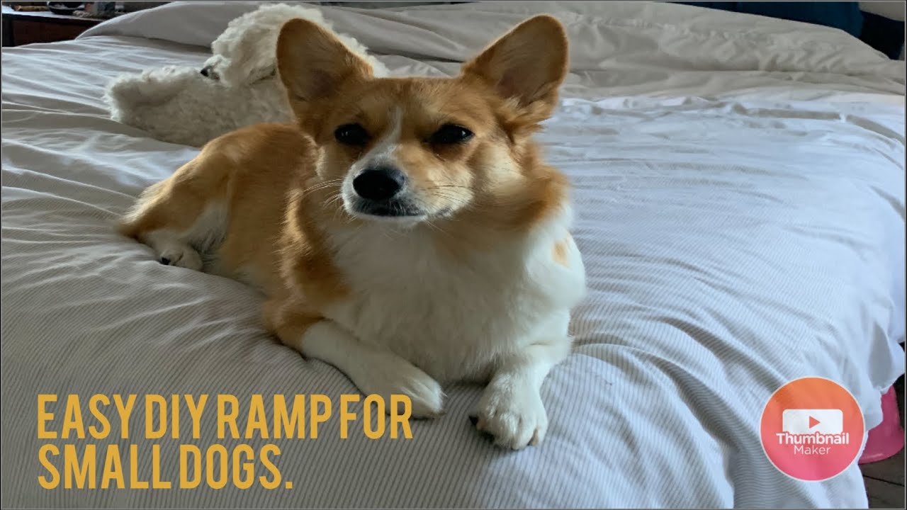 DIY Dog Ramp
