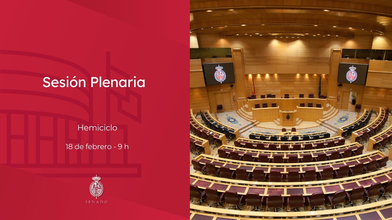 Sesión Plenaria - 18/02/2026 - 9 h - sonido sala