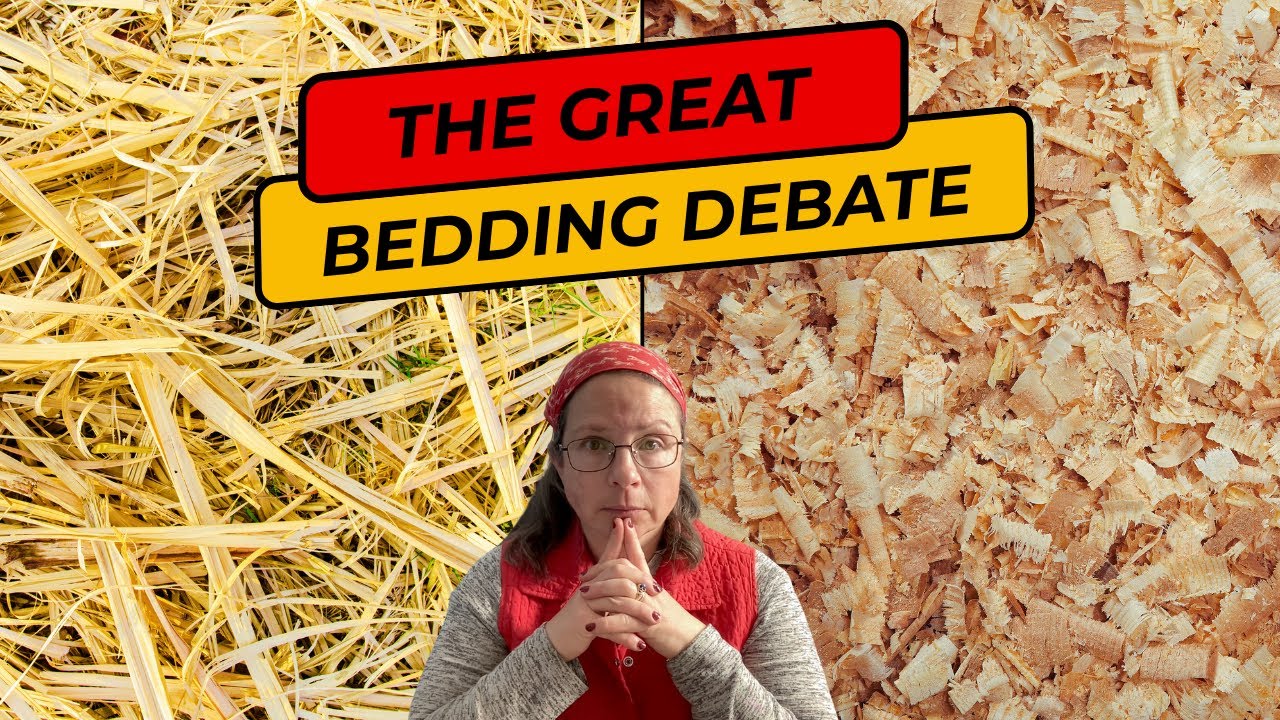 What's the BEST Bedding for Foaling Mares?