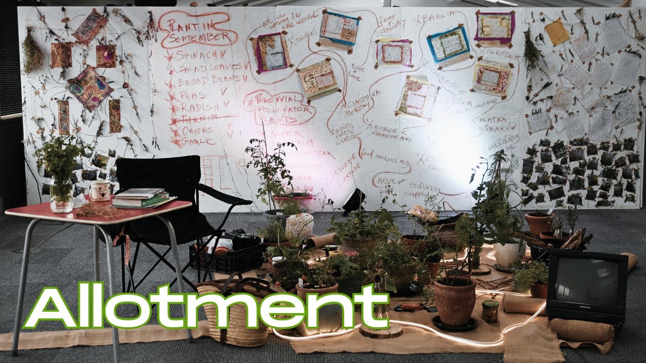 Allotment Multidisciplinary Storytelling Art Project | Part 1 | Urban Balcony Garden