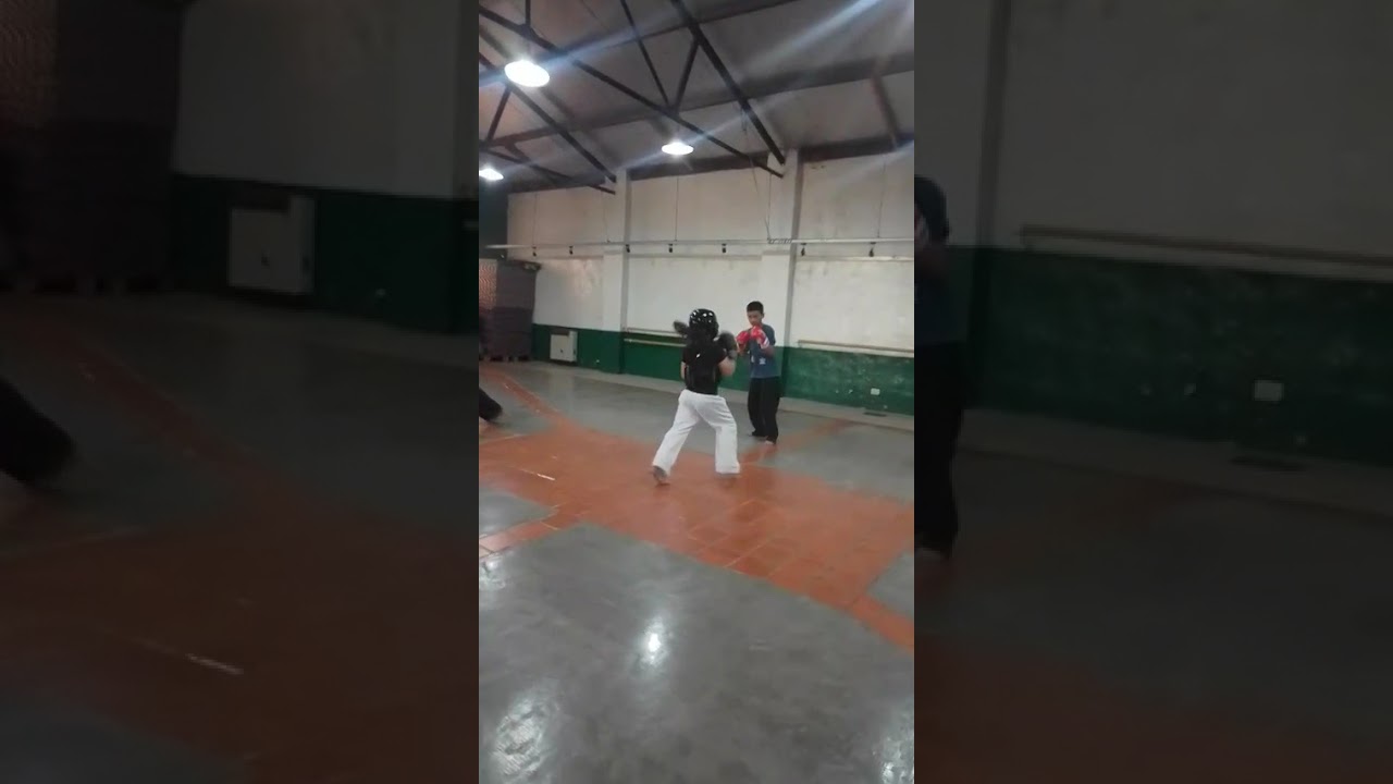 kung fu .  tien shan pai