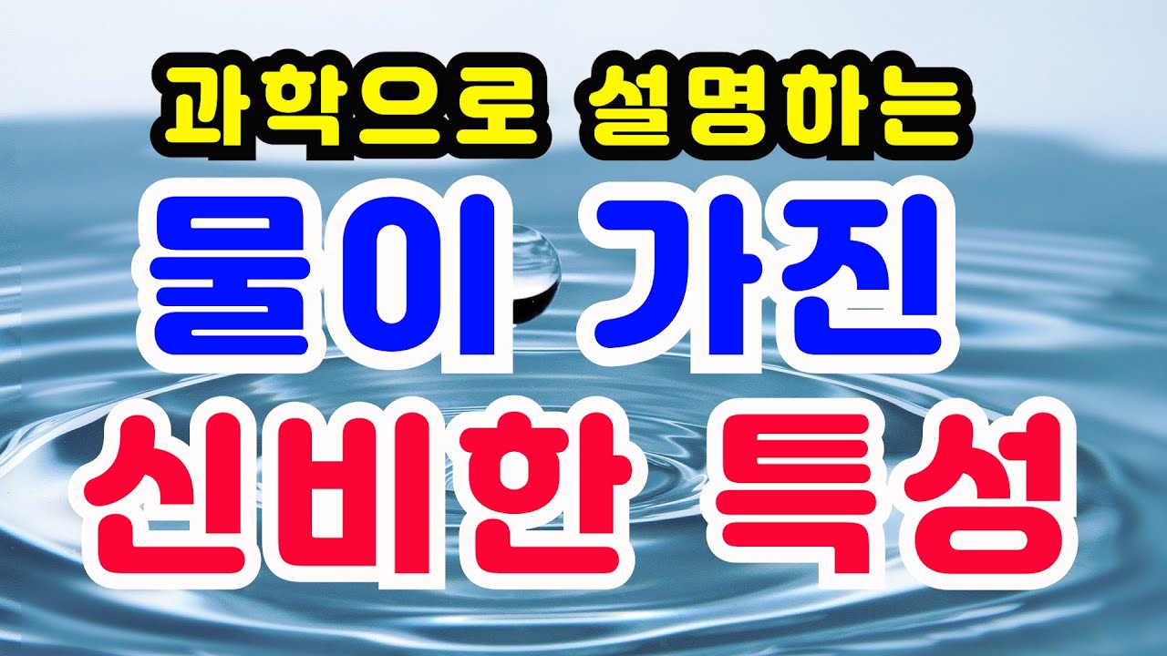 얼음은 왜 물에 뜨는지 과학적으로 본 물의 신비한 특성 여러가지 표면장력, 모세관 현상