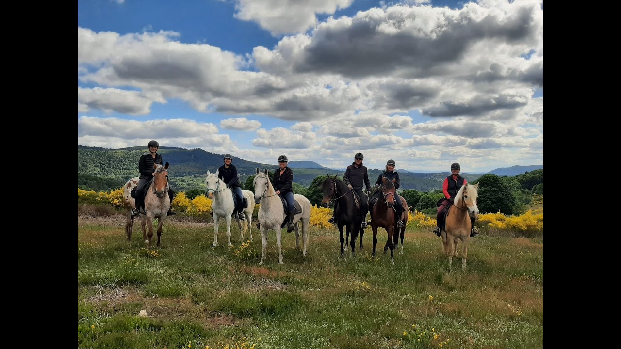 Cheval Alsace Mei 2022