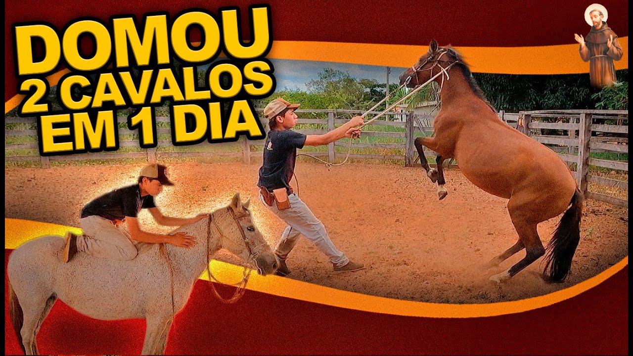 Domou 2 Cavalos Brutos em 1 Dia