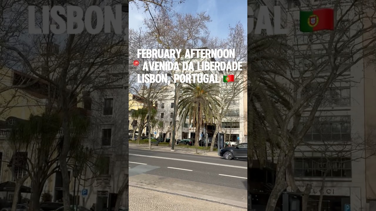 Avenida da Liberdade, February afternoon in Lisbon, Portugal #lisbon #travel #shorts