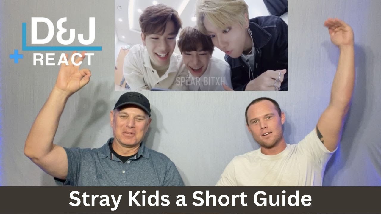 Stray Kids a Short Guide NOT WHAT WE EXPECTED!