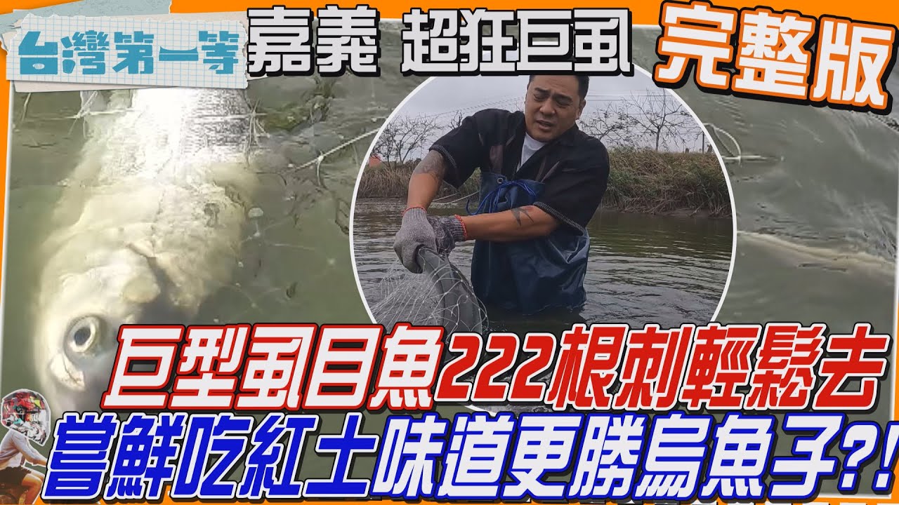 [全新] 嘉義【