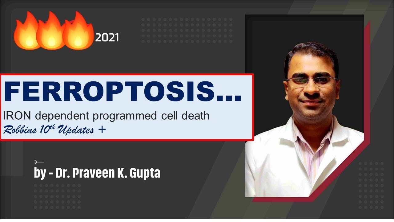 FERROPTOSIS: IRON dependent programmed cell death  by Dr Praveen Kr Gupta