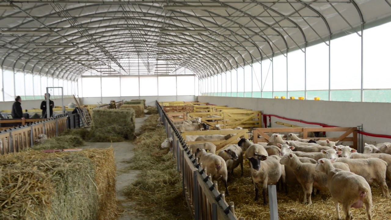 BATICLAIR : Bergerie Verticlair de Monsieur Vincent BIZOUARD