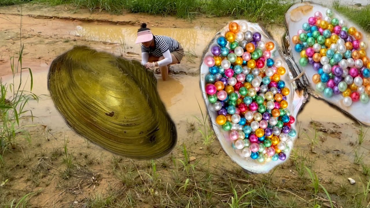 The girl picked up golden mussels in the muddy river and harvested countless colorful pearls