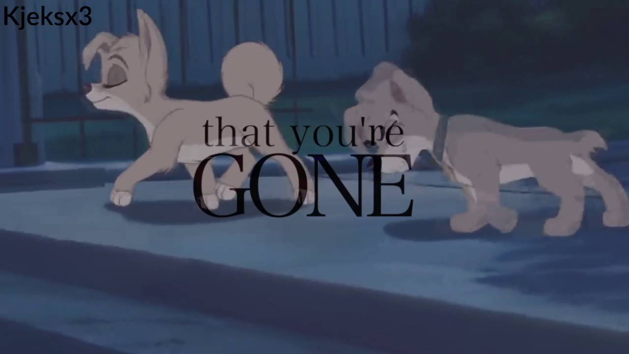 Animash | We don't talk anymore | Full MEP