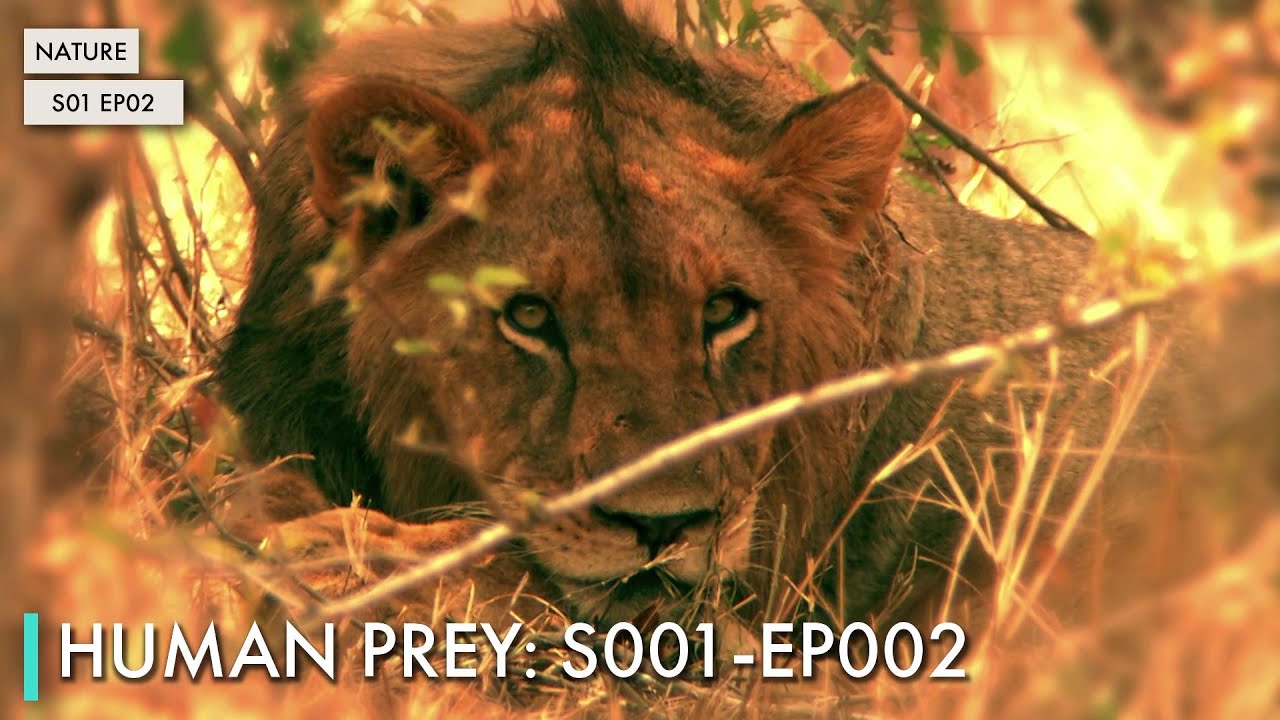 Human Prey: S01 EP02