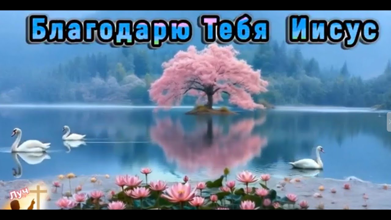 МОЙ БОГ 1 1