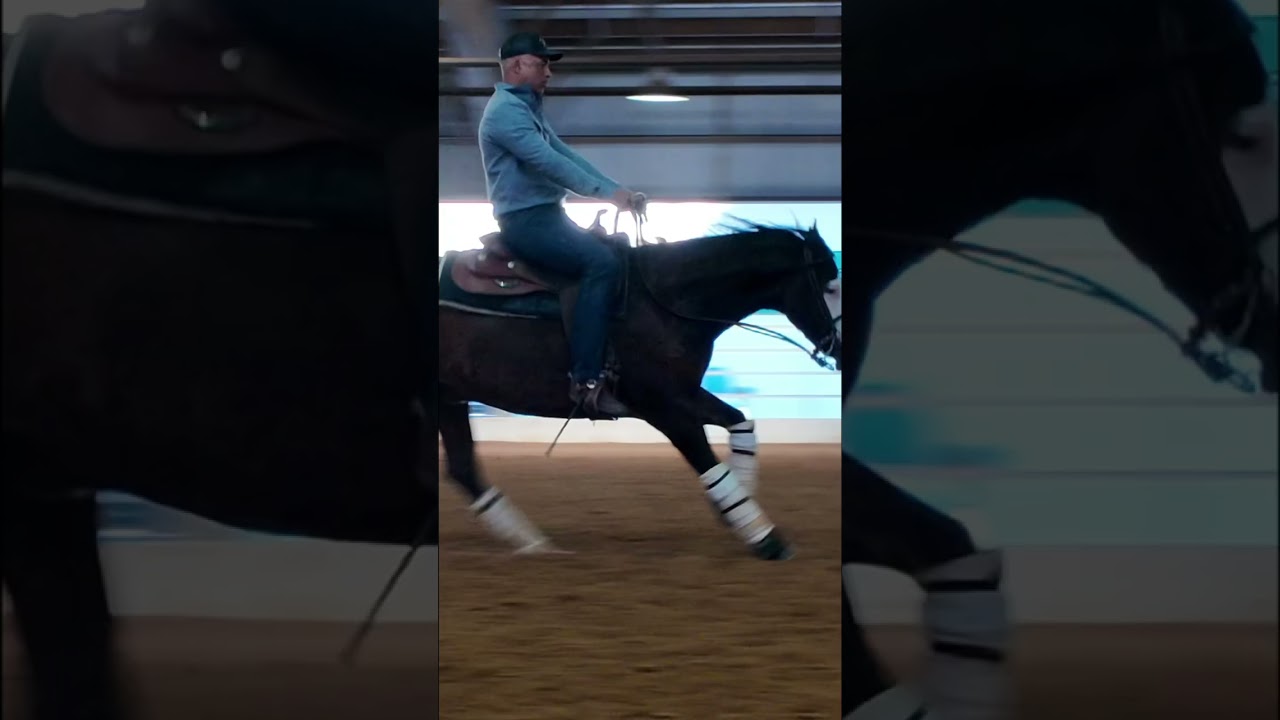 Horse Dragging Its Butt On The Ground. #horse #reining #reininghorse