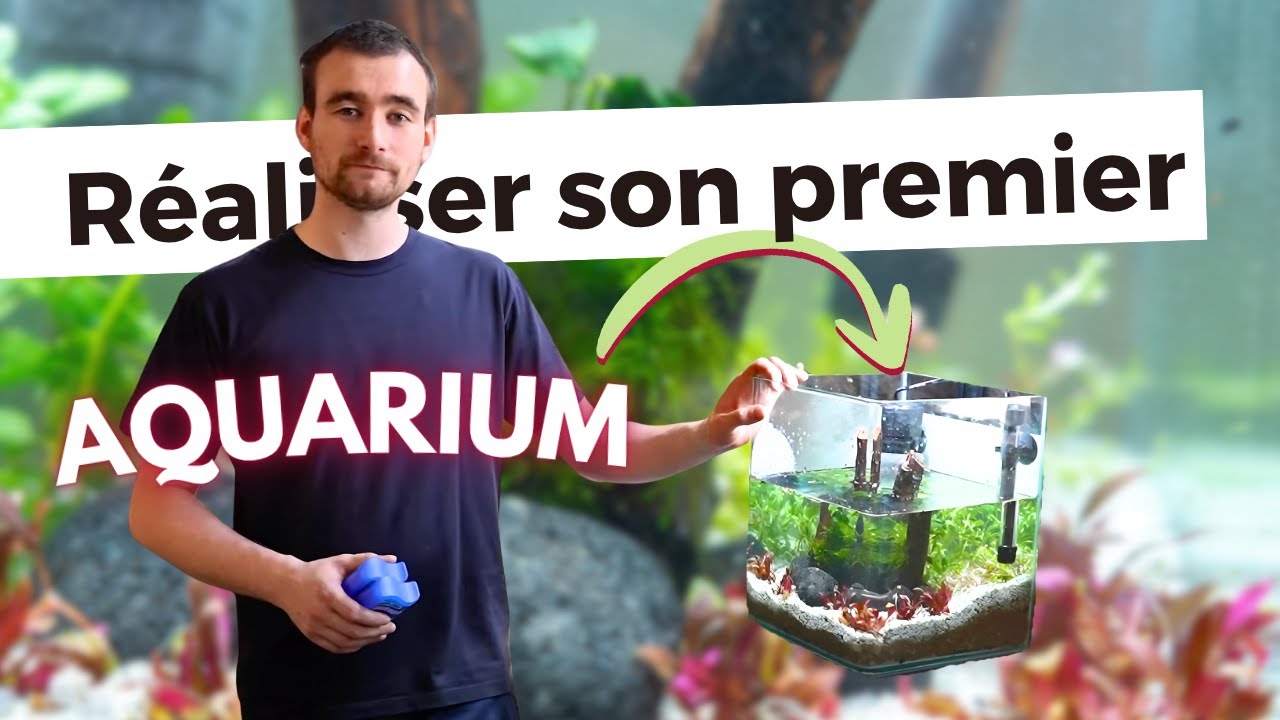 ON RÉALISE UN AQUARIUM ENSEMBLE - PARTIE 1 | AQUABOTA
