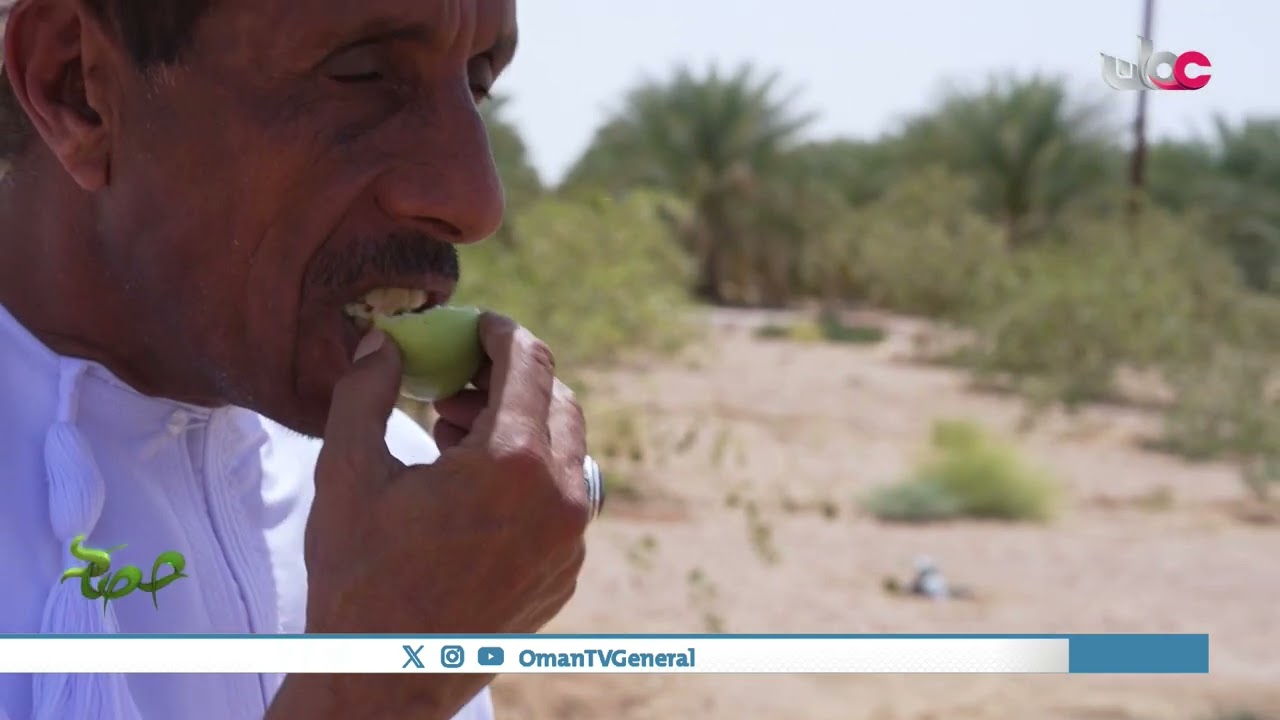 #حصاد | نجد | الجمعة 19 أبريل 2024م
