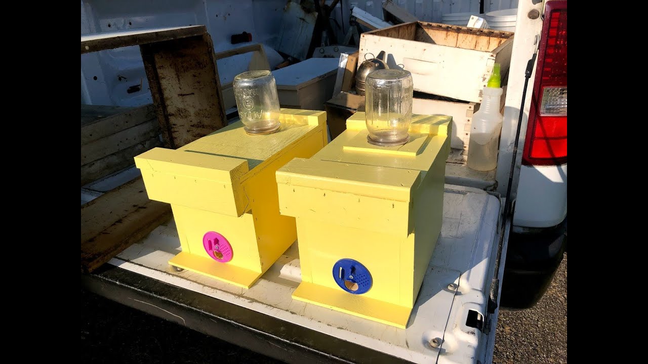 Building a Single Chamber Mini Mating Nuc