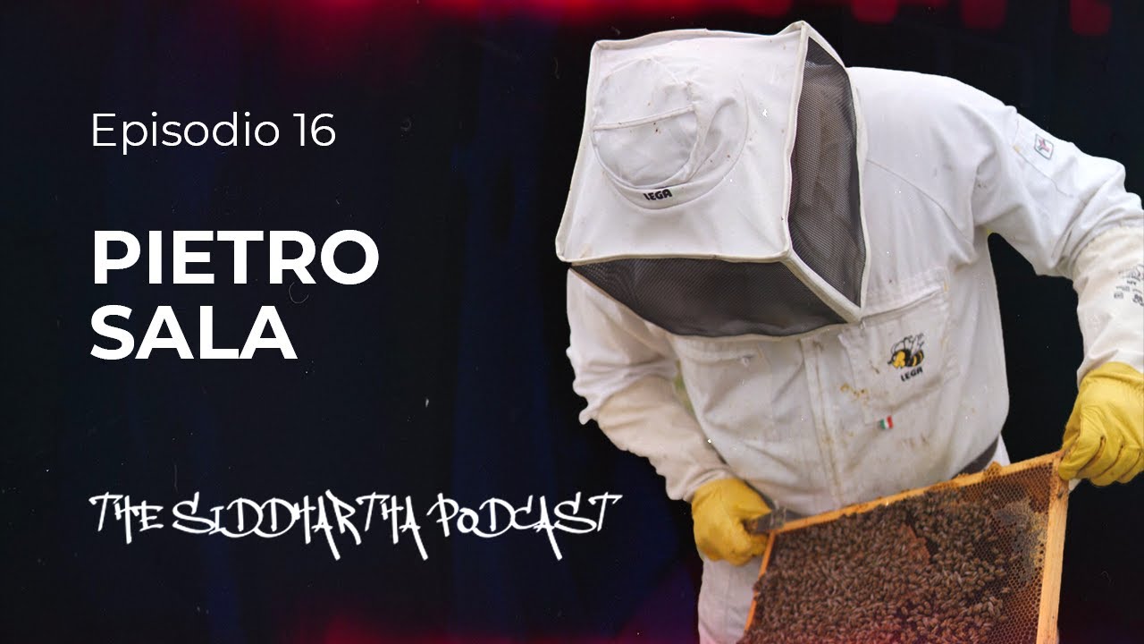 EP.16 Pietro Sala: il Magico Mondo delle API