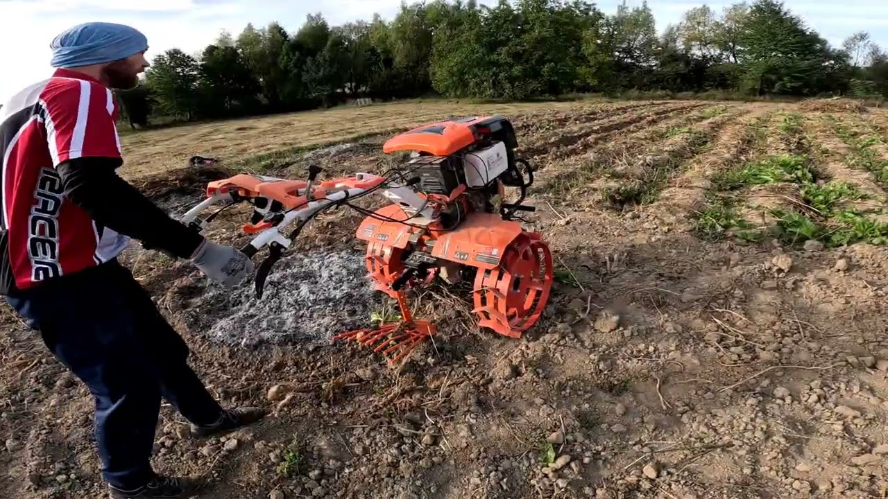 La scos cartofi cu motocultorul Ruris 1002 KSD