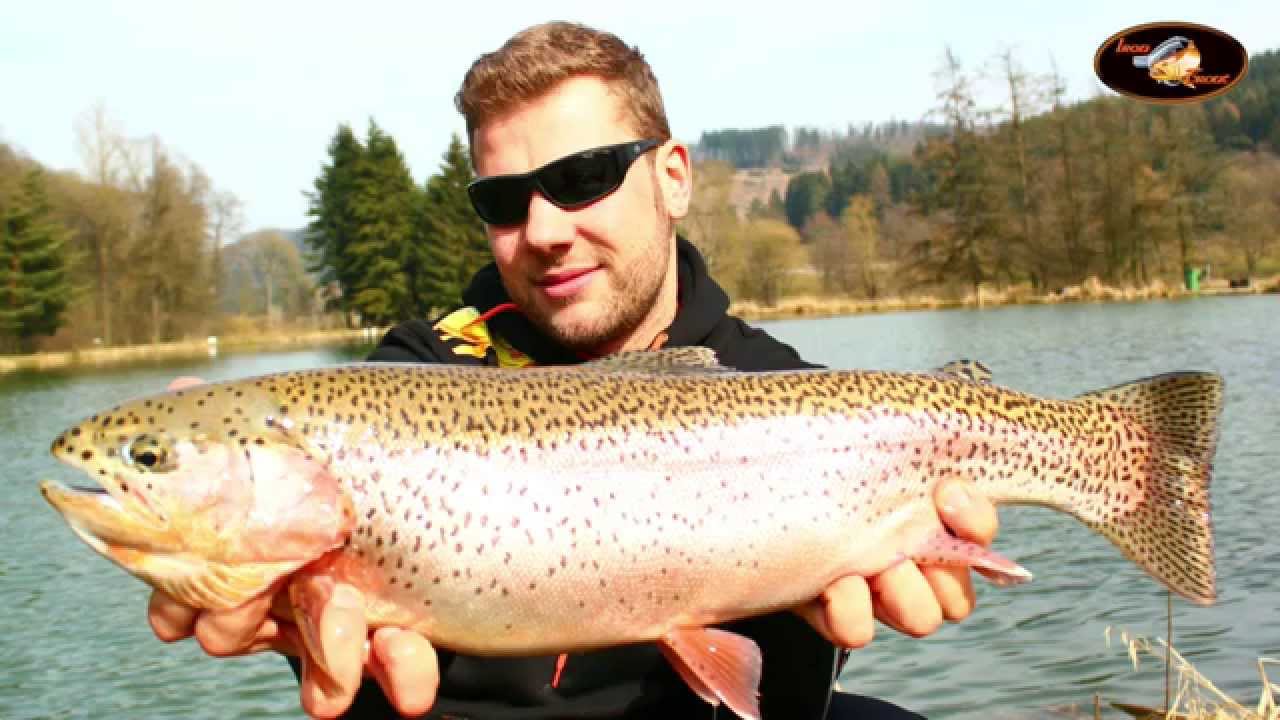 Iron Trout bei Fischzucht Wagner/ Forellensee im Test Chakka Booom, Tremito Baco & Coda