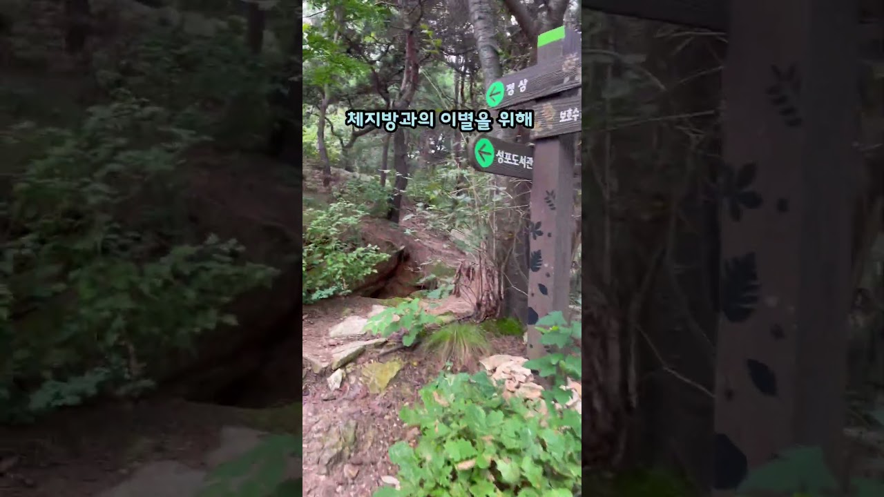 바이올리니스트의 체력관리법