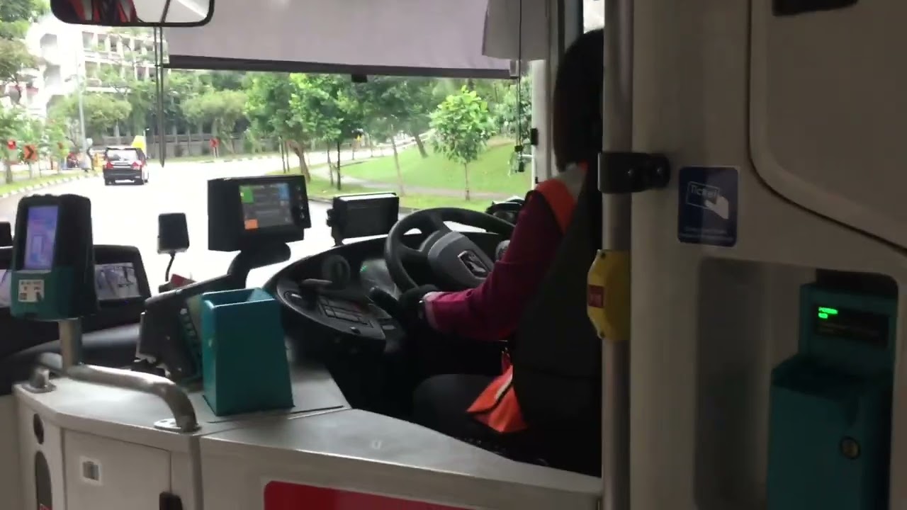Trải nghiệm đi bus ở Singapore #Public Transportation#Buses in Singapore