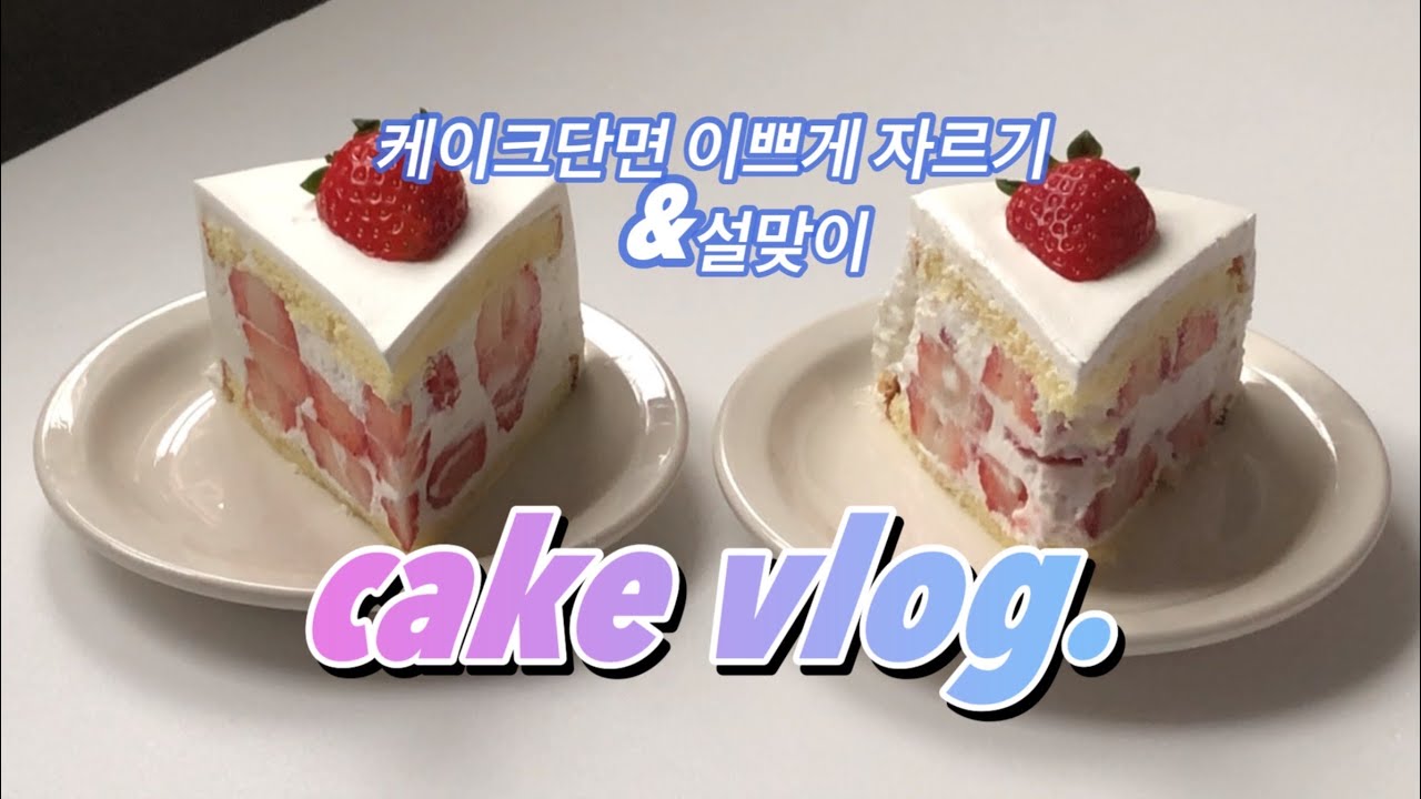[vlog] 케이크 단면 이쁘게 자르기 | 설맞이 거래처 선물 전달 | 동물병원가서 소독하기
