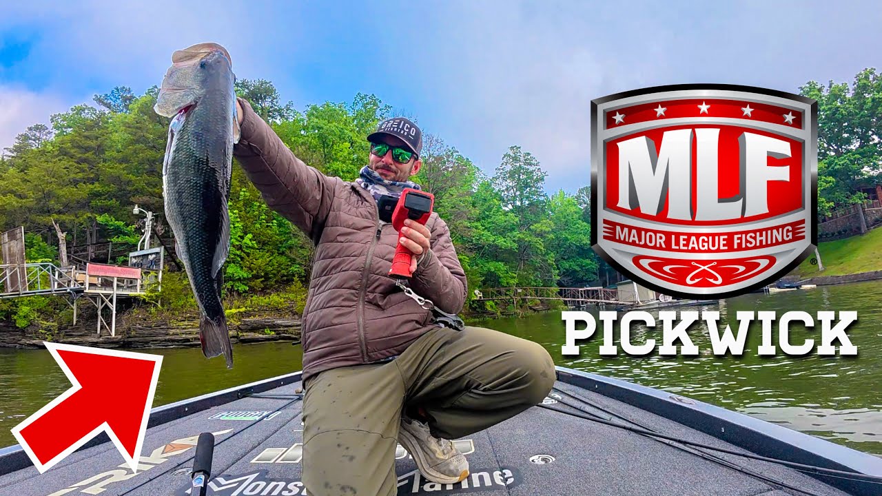 EPIC Shad Spawn Bite on Pickwick!! | MLF Invitational Tournament