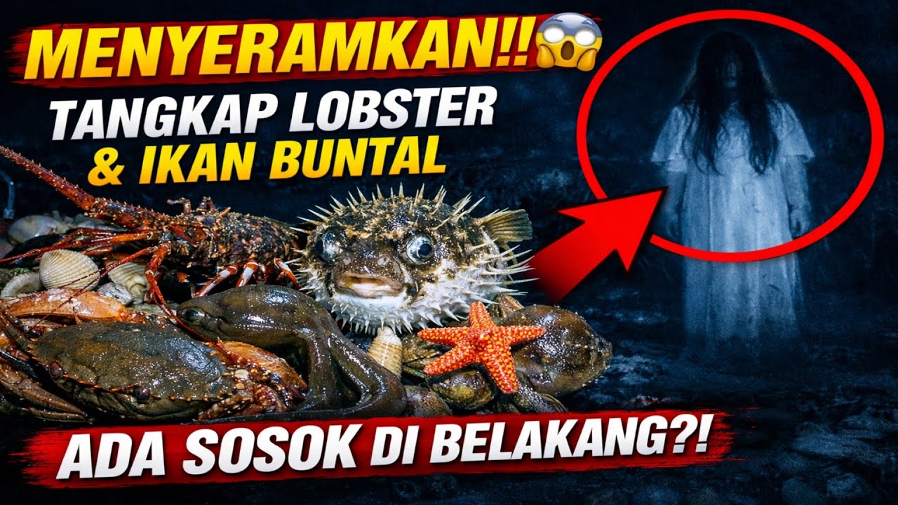 MENYERAMKAN! Berburu keong mas, Kepiting, Udang Warna - Warni, (keong sawah) dirawa angker!  Eps.156