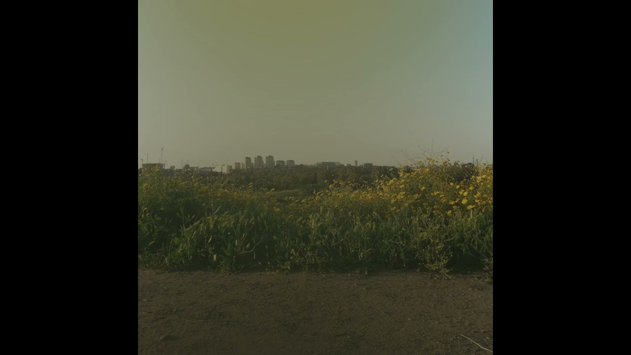 Unwanted Nature
